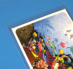 Open End Polypro Cello Bags